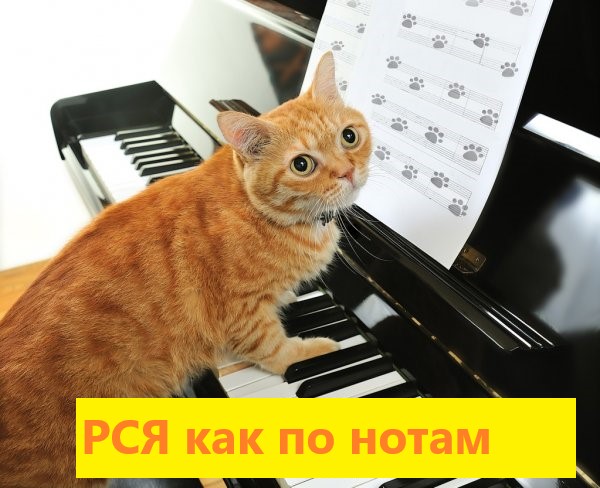 Реклама в Рекламной Сети Яндекса от 1500р. Количество заказов ограничено.