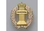 Адвокат Агеев А.В.